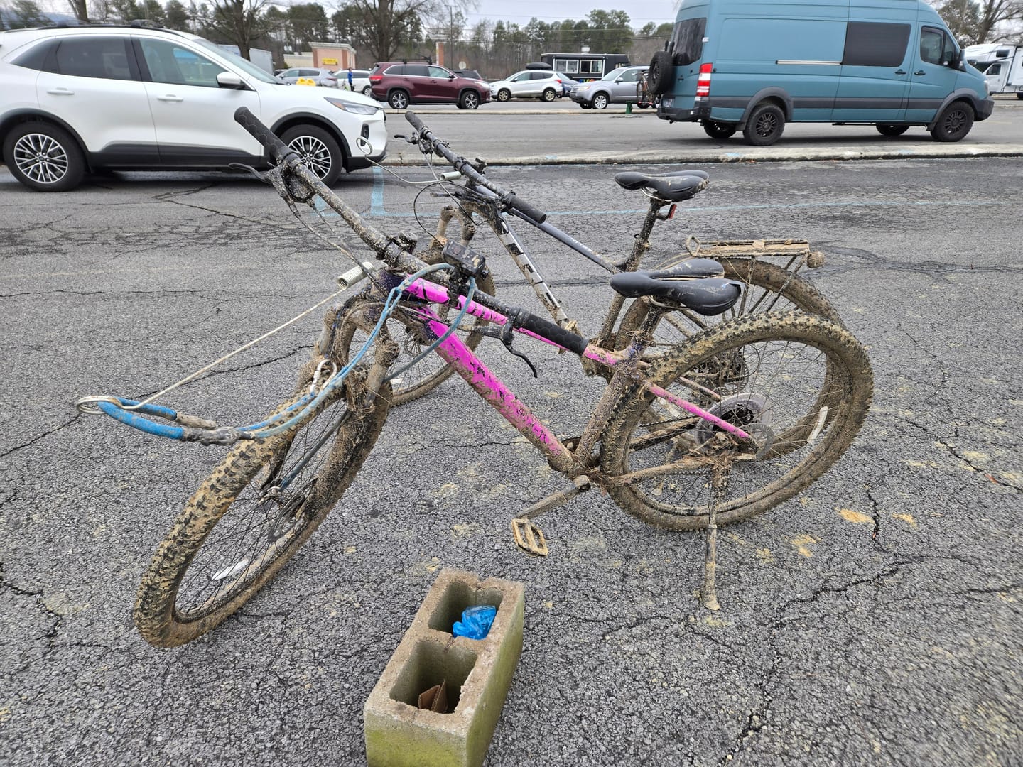 Customer photo review of Custom Frame Keeper