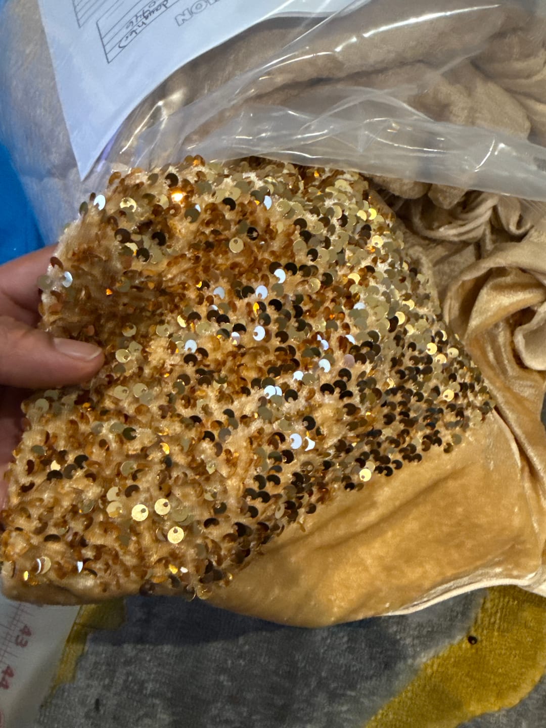 Customer photo review of Bright Gold Sequin on Velvet