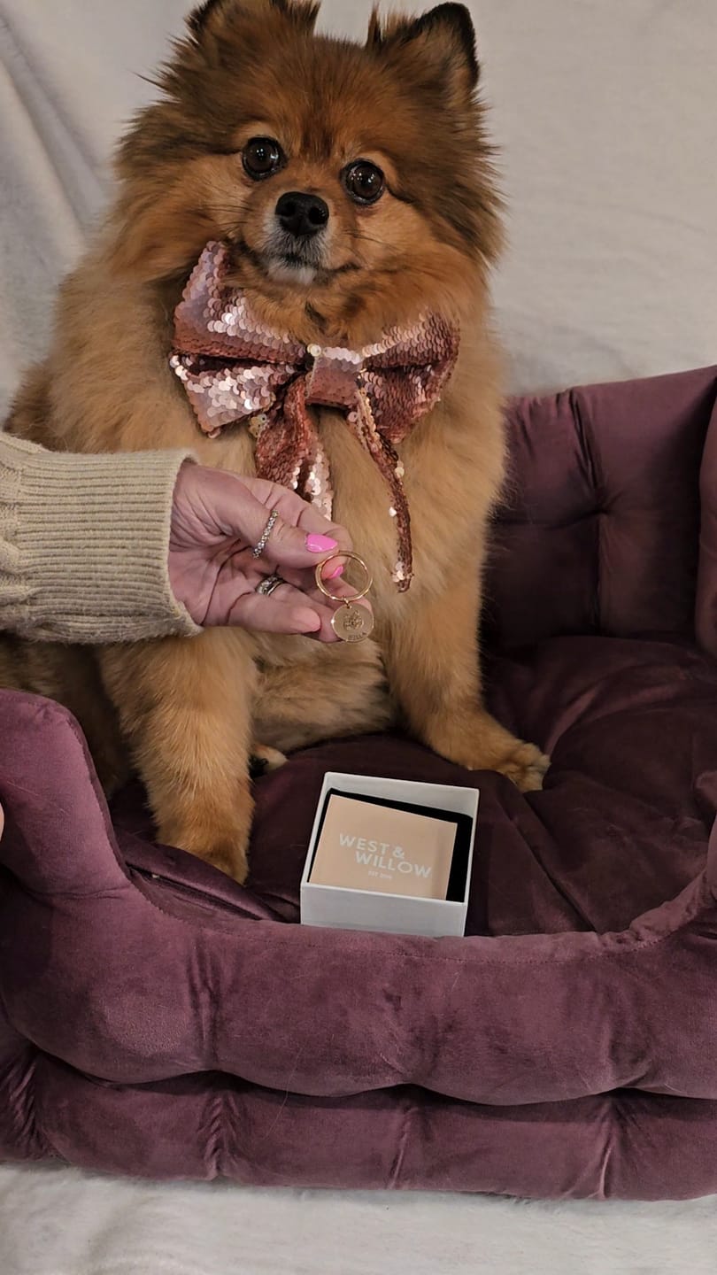Customer photo review of Custom Engraved Pet Portrait Keychain