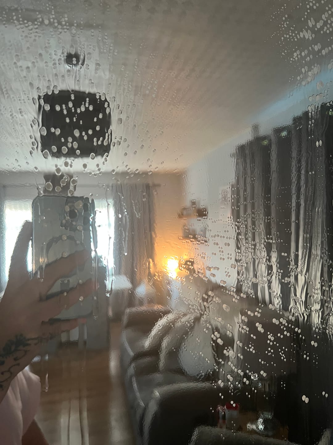 Customer photo review of Shower and Glass Cleaner