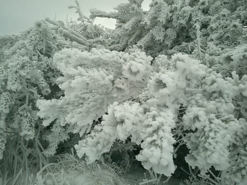 Customer photo review of NUVINT - Digitalkamera