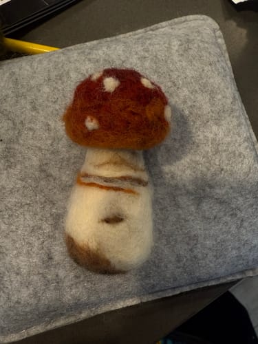 Customer photo review of Sophie Wheatley's Felted Fungi Supplies Box