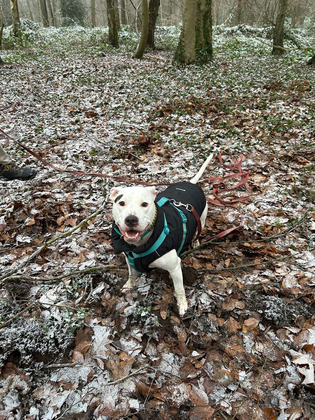 Customer photo review of WarmShield Water-Resistant Jacket - Black