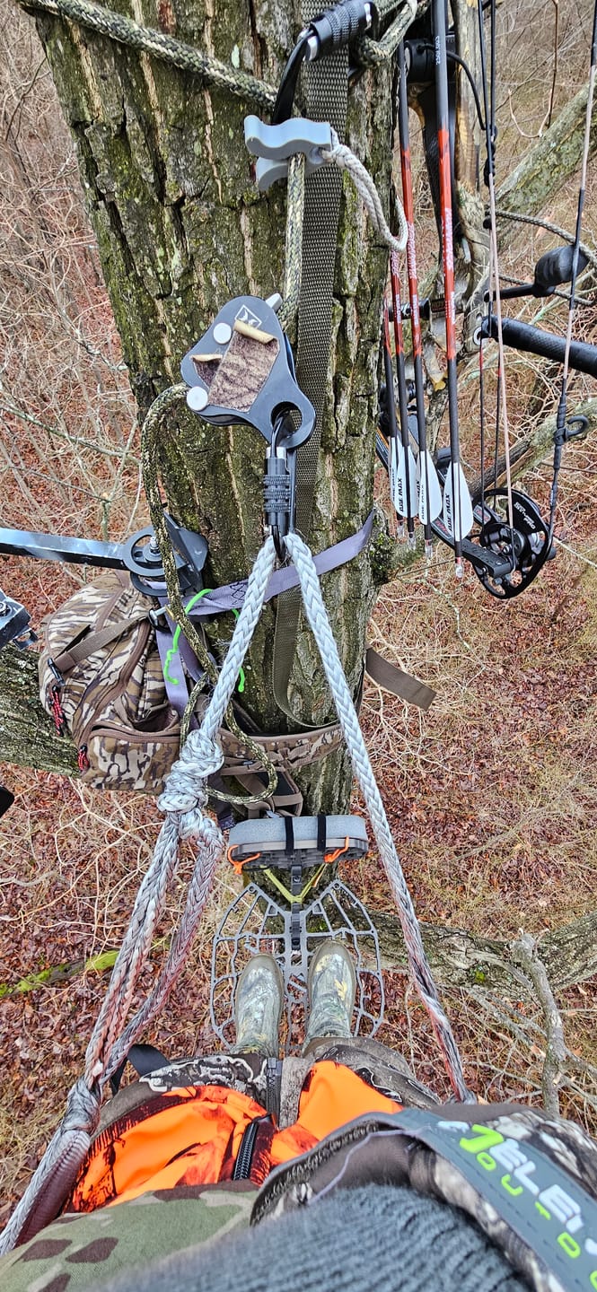 Customer photo review of RANGER HYBRID™