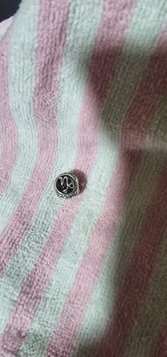 Customer photo review of Charm Horoscopo Diamantado