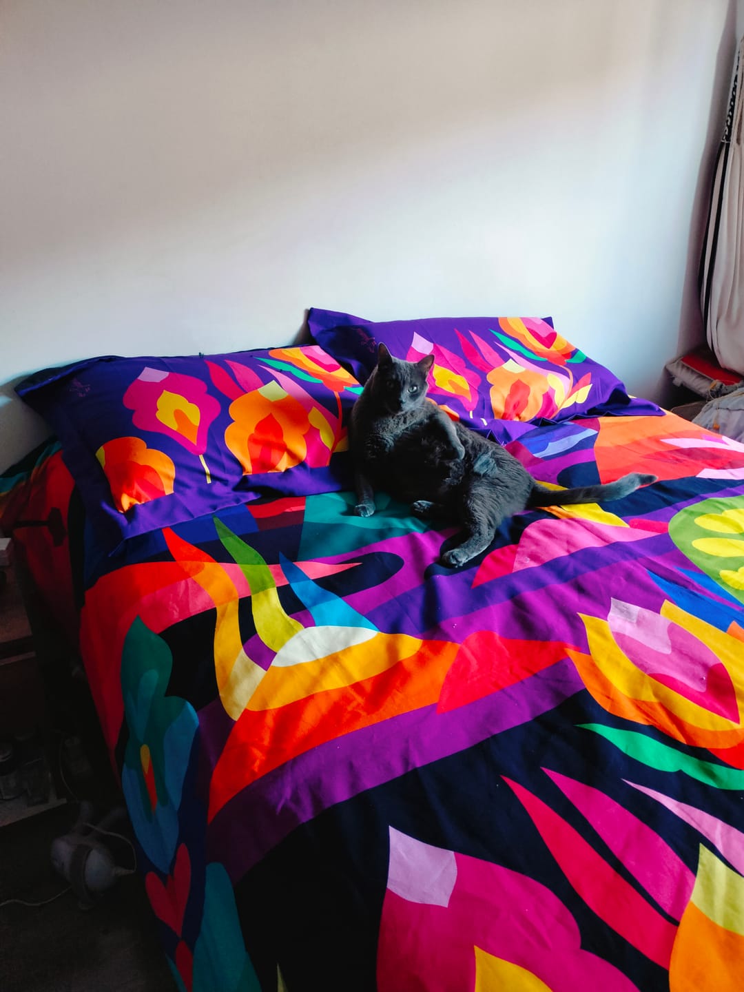 Customer photo review of Duvet Cover Paisaje Ancestral