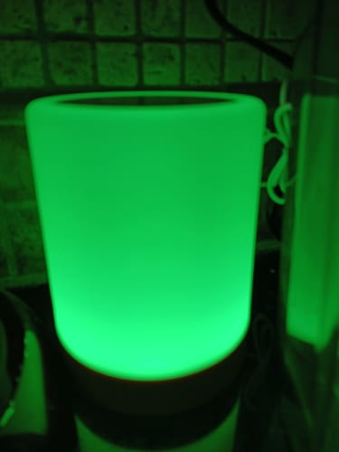 Customer photo review of Friendship Lamp