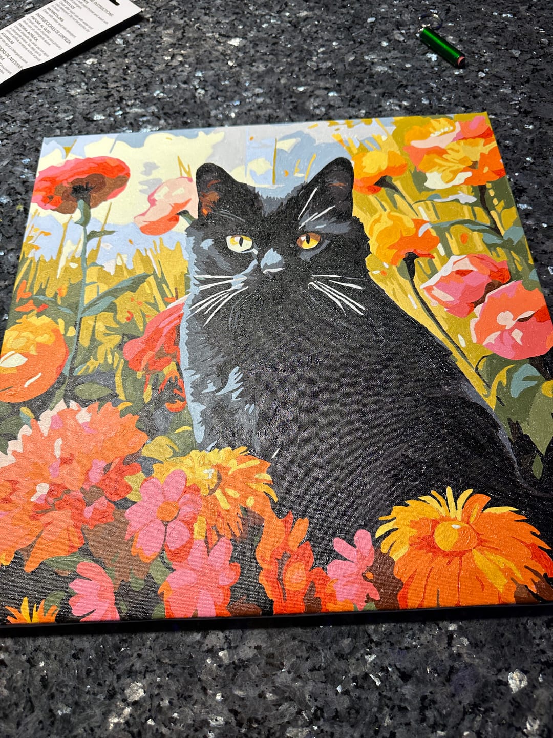Customer photo review of Sunny Feline
