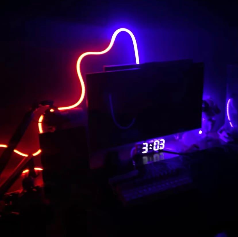 Customer photo review of ARGB Neon Strip Light