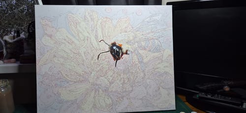 Customer photo review of Bee's Dance