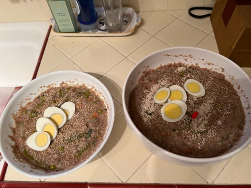 Customer photo review of K9 Belly Bliss