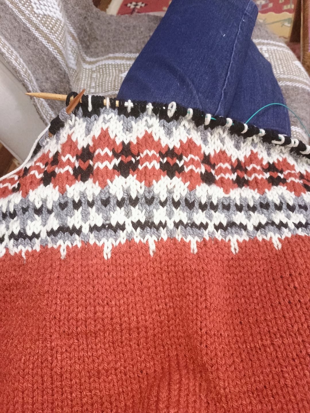 Customer photo review of Patrón Sweater Terra | Adulto
