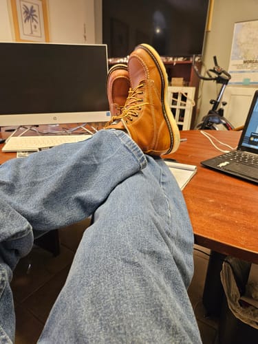 Customer photo review of Rutland Chestnut