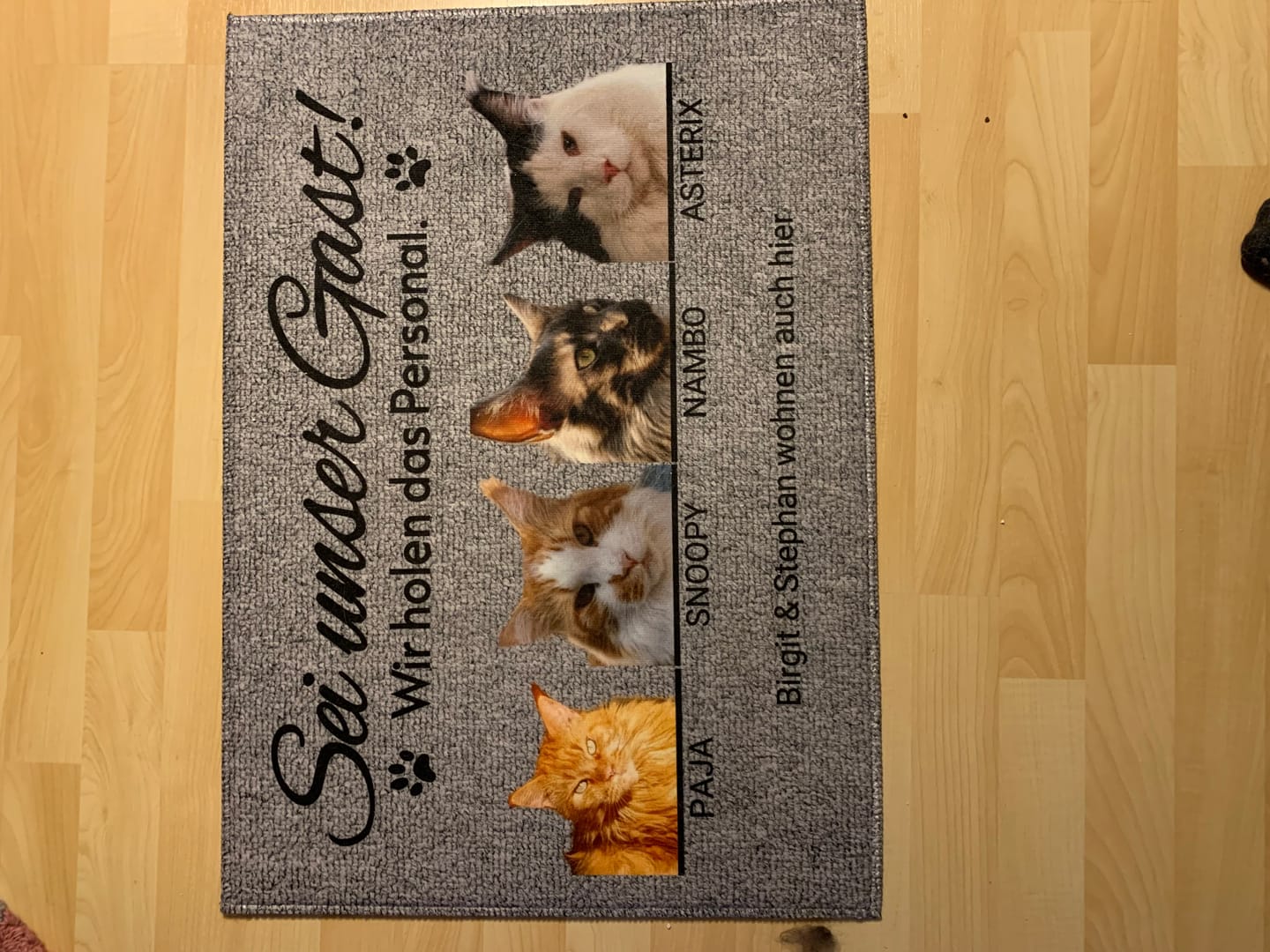 Customer photo review of Katzen holen ihr Personal - Individuelle Fußmatte