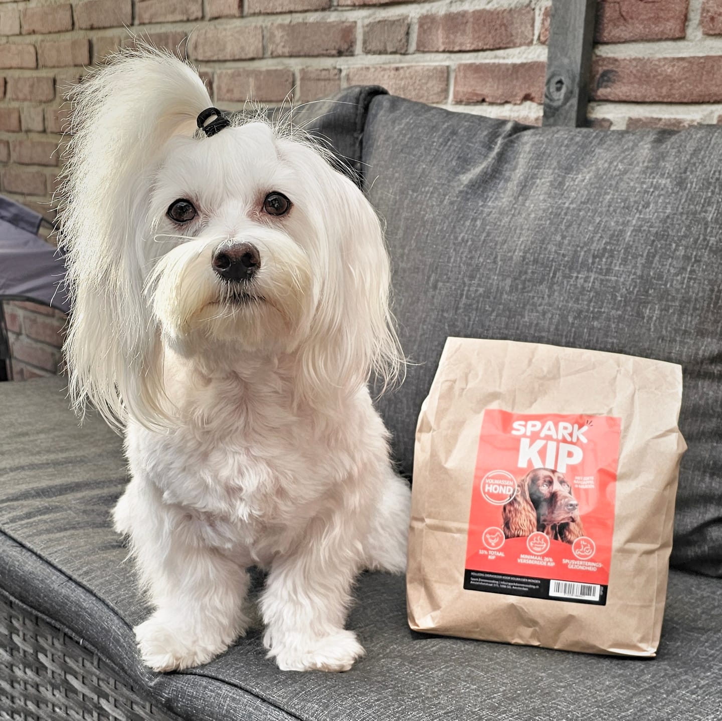 Customer photo review of Volwassen - Kip met Zoete Aardappel & Kruiden
