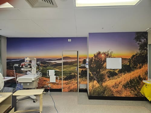Customer photo review of Print Your Own Mural - So Many Options