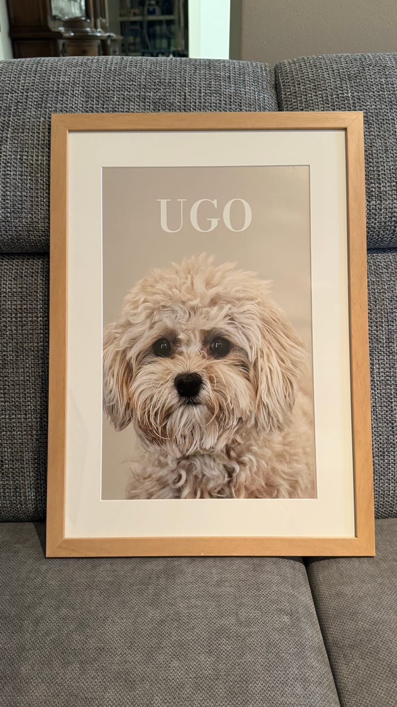 Customer photo review of La tua foto - Poster personalizzato
