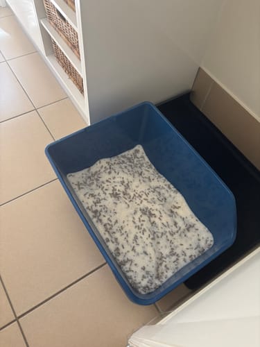 Customer photo review of 1 Month Supply – 1 Cat