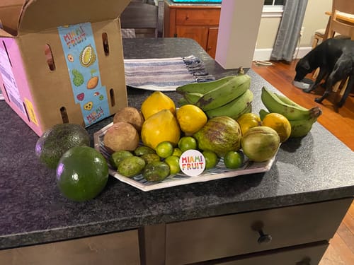 Customer photo review of Leftovers Box