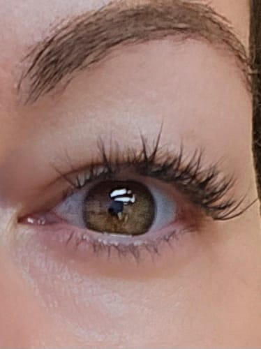 Customer photo review of Pressé C