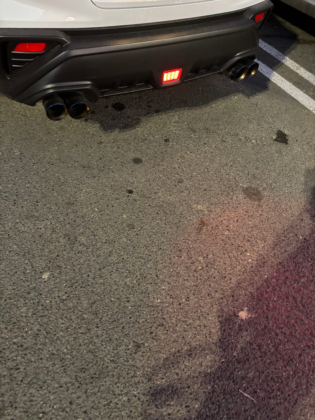 Customer photo review of 2011-24 Subaru WRX & STi F1 Rear Fog Lights