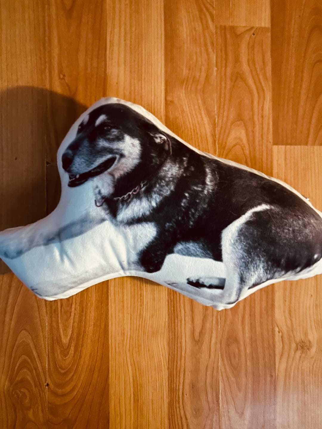 Customer photo review of Custom Pet Shaped Pillow that Look Like your Pet - ThePetPillow