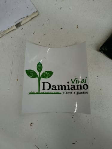 Customer photo review of PROMO - Sticker Vinile Classici