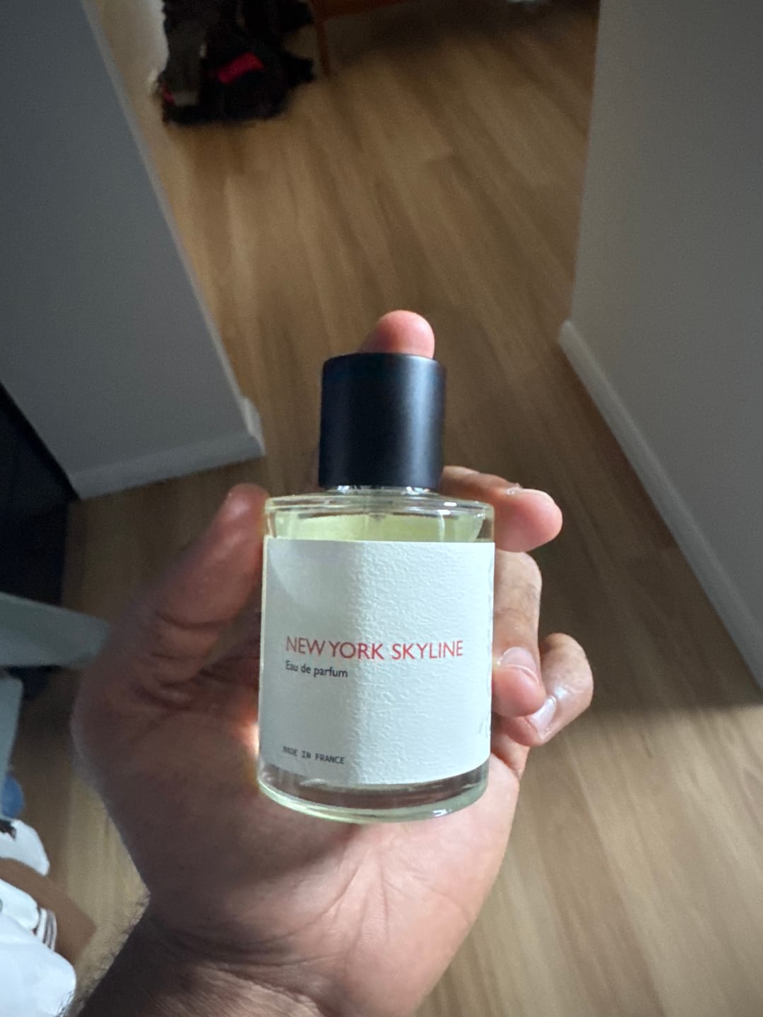 Customer photo review of New York Skyline