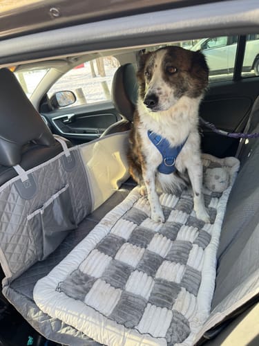 Customer photo review of NEW Waterproof Hard Bottom Car & Truck Seat Foldable Hammock Cover With Storage Pockets, Side Flaps, Headrest Straps, Seat Anchors, & Mesh Window (+FREE SAFETY BELT!)