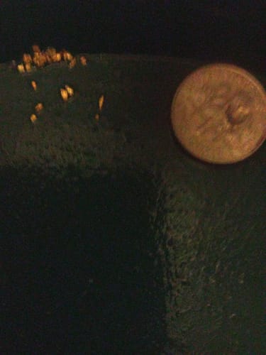 Customer photo review of Nugget Reserve 'MUSEUM SPECIMEN CHASE' - Gold Panning Paydirt Concentrate