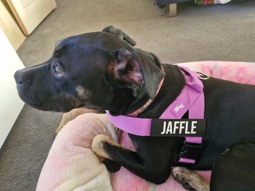 Customer photo review of Custom Name Patches