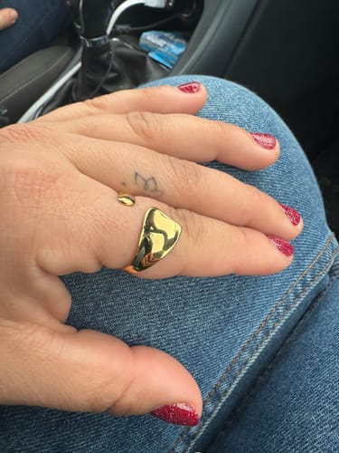 Customer photo review of PURICE