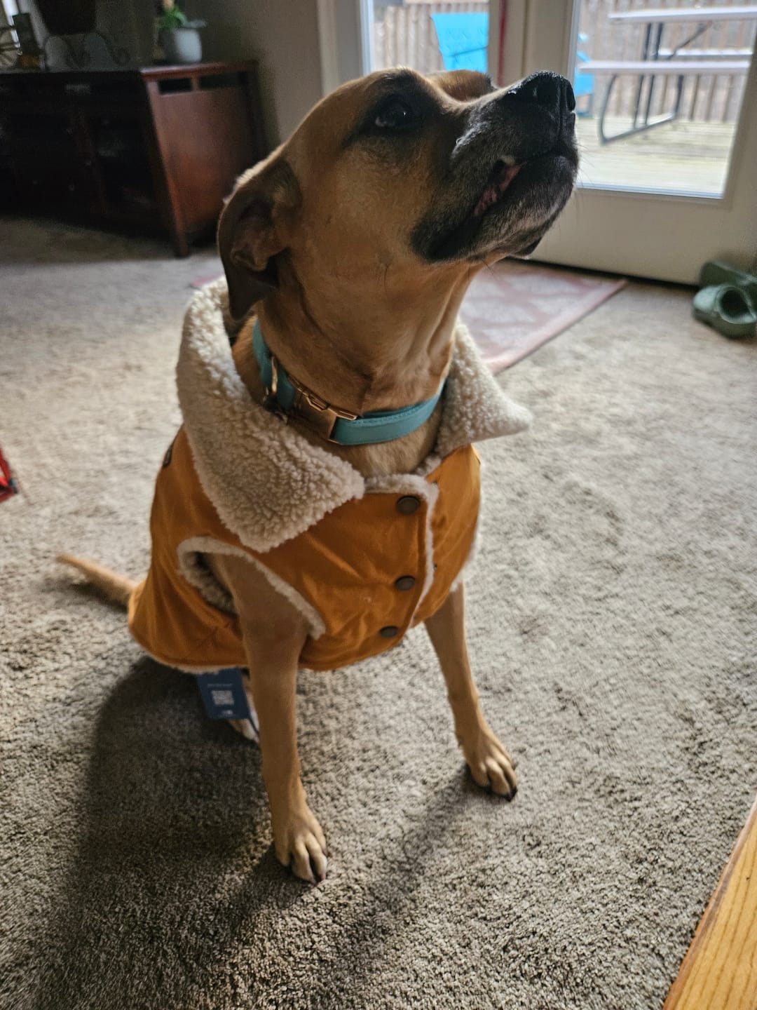 Customer photo review of Workdog Insulated Utility Jacket - Brown