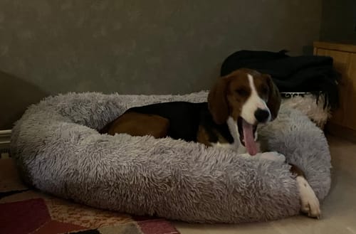 Customer photo review of CalmBed - Motverkar stress & hjälper mot ångest