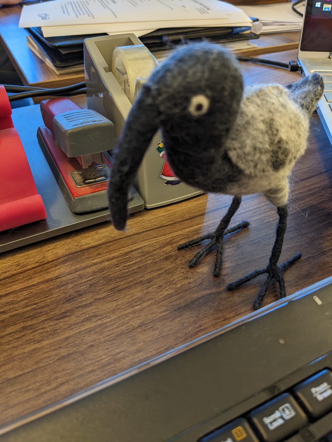 Customer photo review of Felt Bin Chicken (Australian White Ibis) Toy