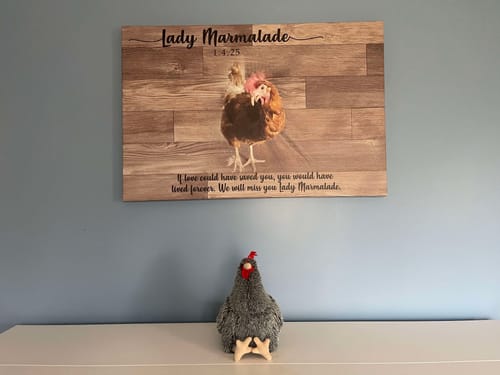 Customer photo review of Pet Memorial