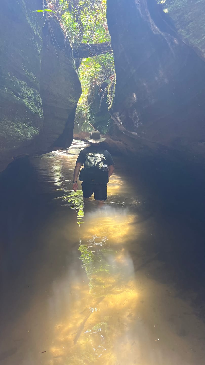 Customer photo review of Ultralight Daypack - 20L