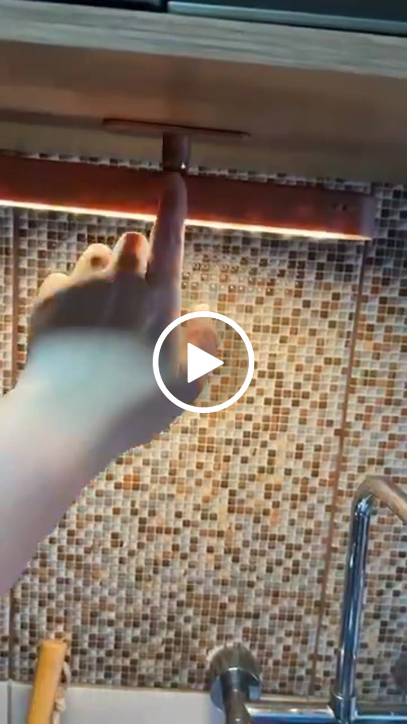 Customer video review of Luminária LED Touch Sem Fio Aura Lux Madeira