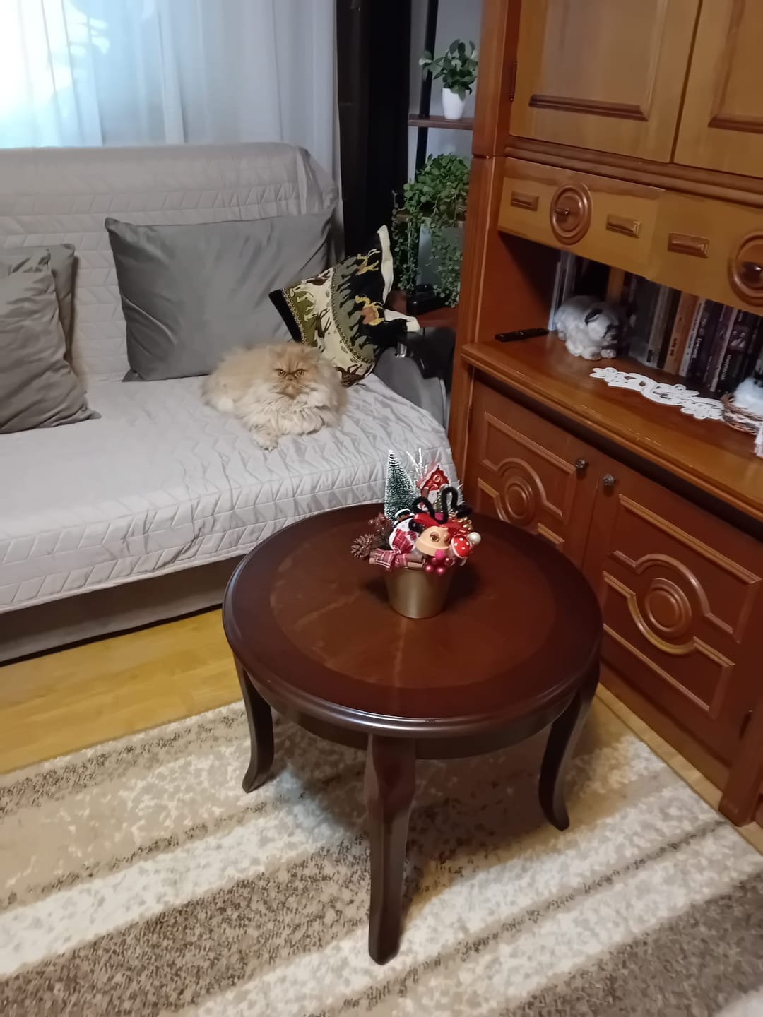 Customer photo review of Masuta ROYAL D, nuc inchis, 60x50 cm