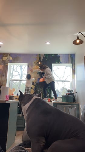 Customer photo review of Clearance! "Huntress" Oversized Wall Mural 8' tall x 12' wide Peel & Stick