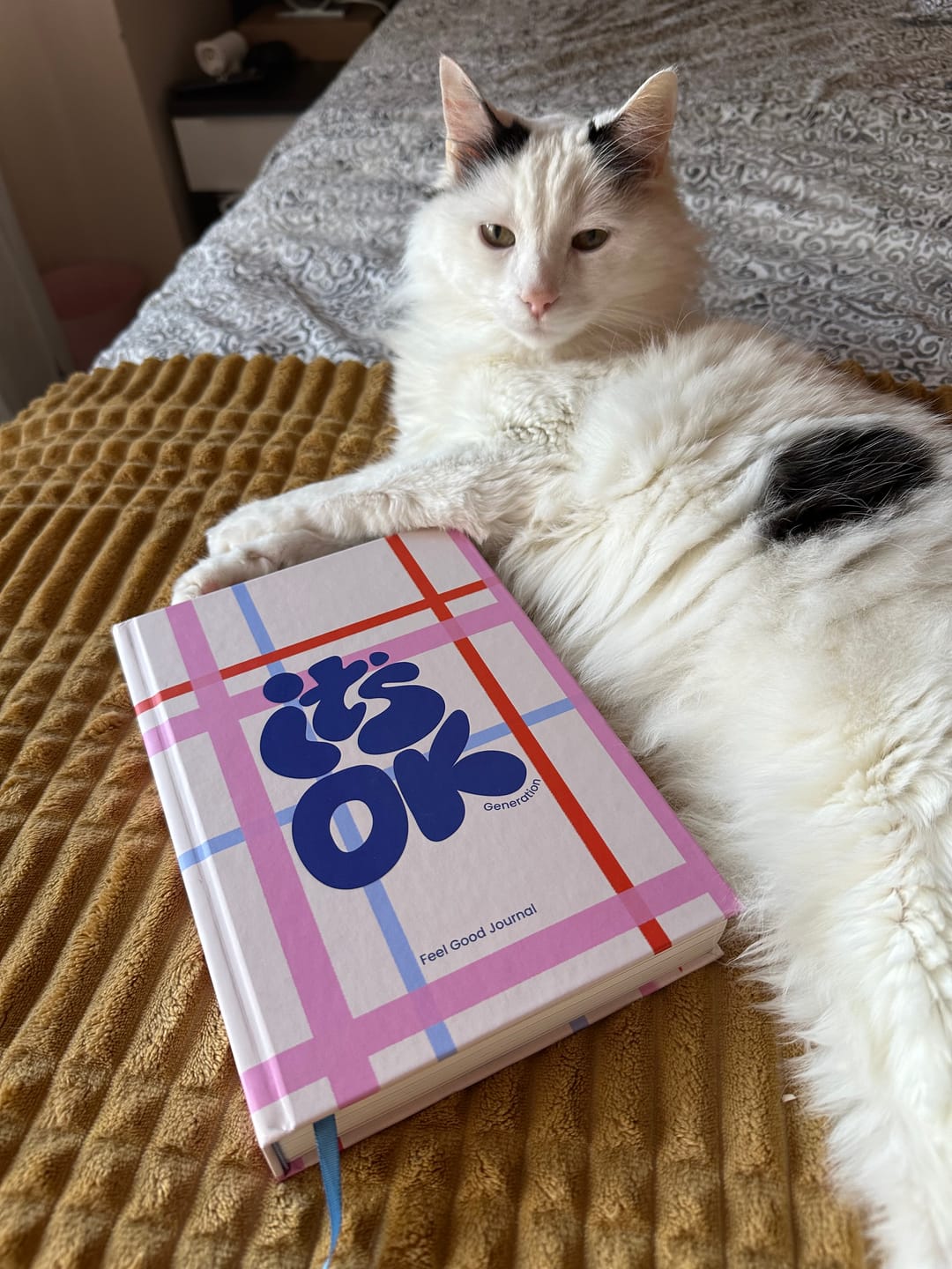 Customer photo review of Feel Good Journal | Portada Picnic