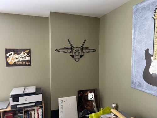 Customer photo review of F-22 Raptor Angle Metal Aircraft Wall Art - NCP0078