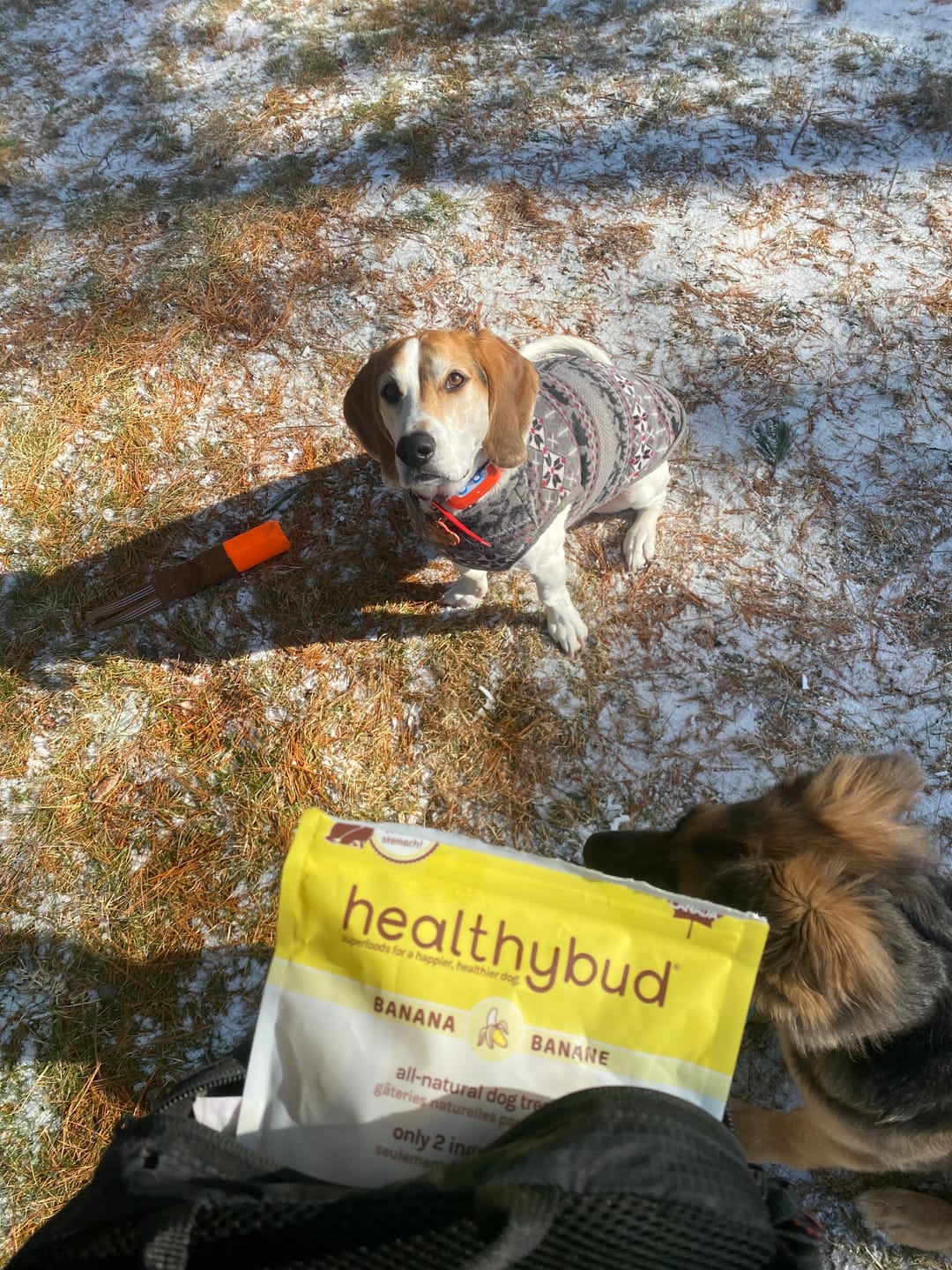 Customer photo review of Banana Chips