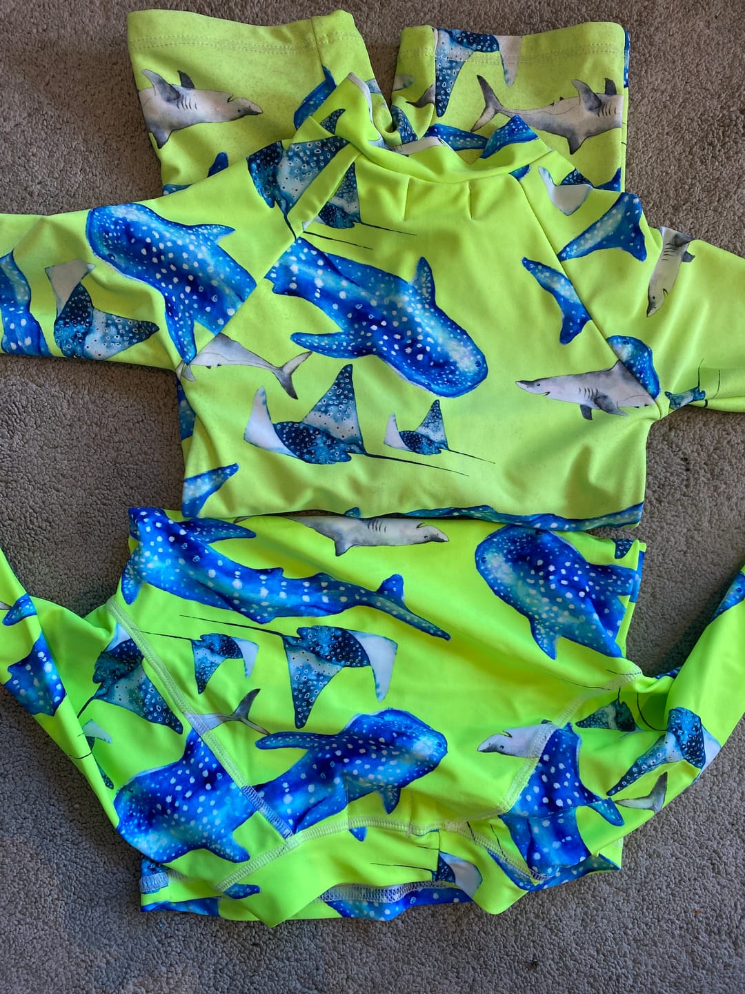 Customer photo review of Fluro Green Sharks Unisex Long Sleeve Zip Swimmers