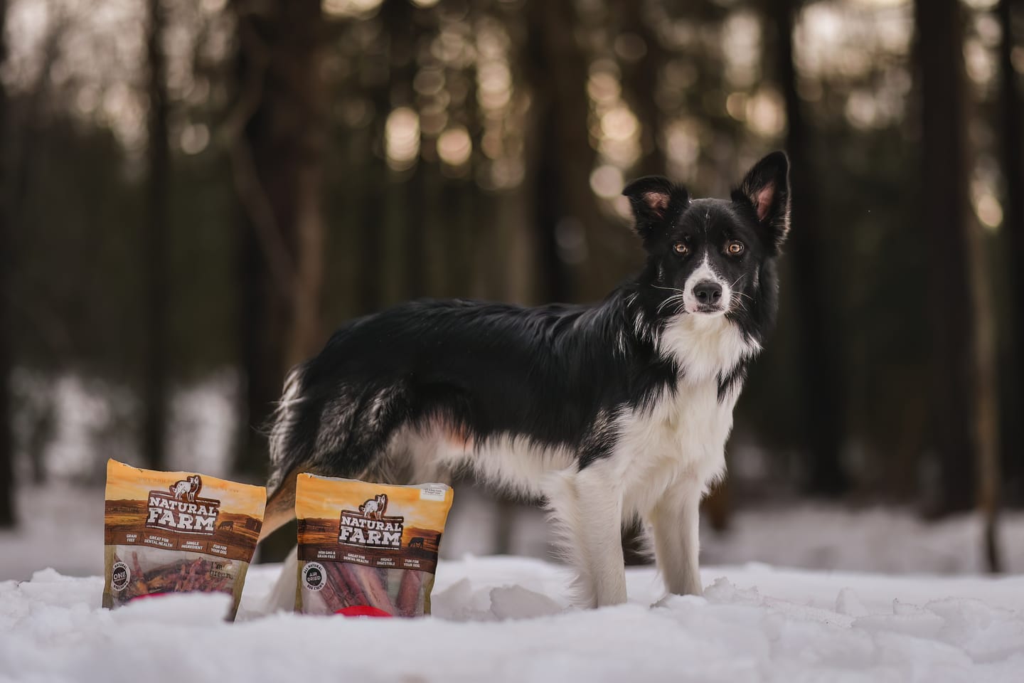 Customer photo review of Beef Collagen Sticks - 6 Inch