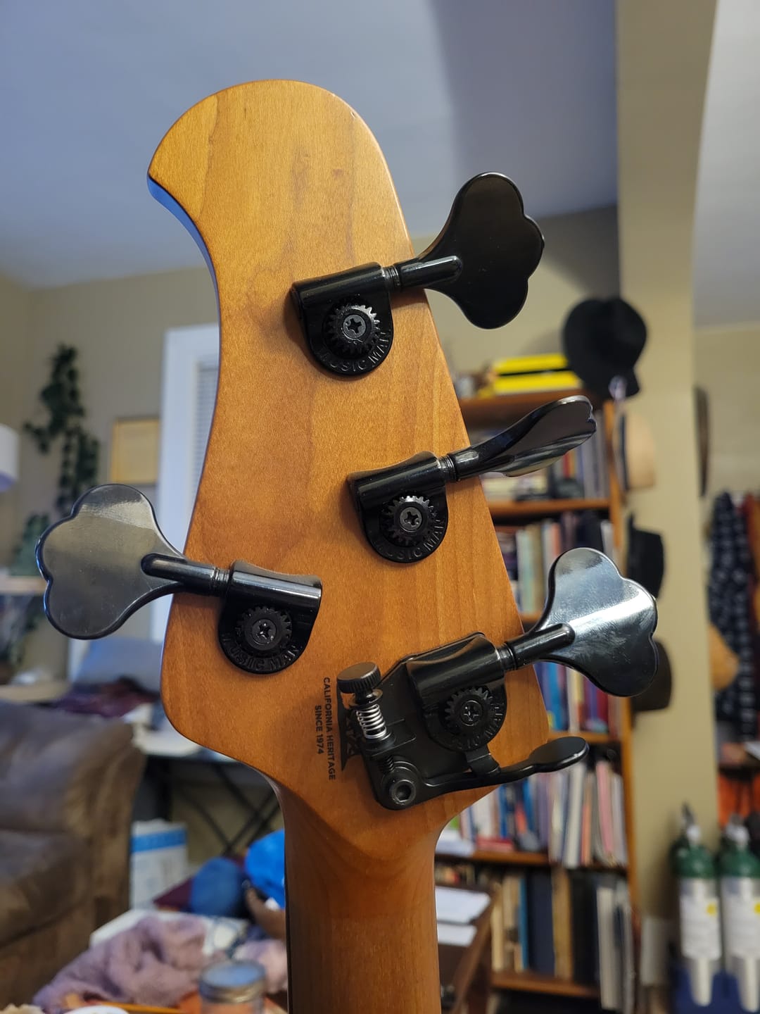 Customer photo review of BT13 Bass Xtender™