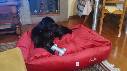 Customer photo review of Gioco Osso