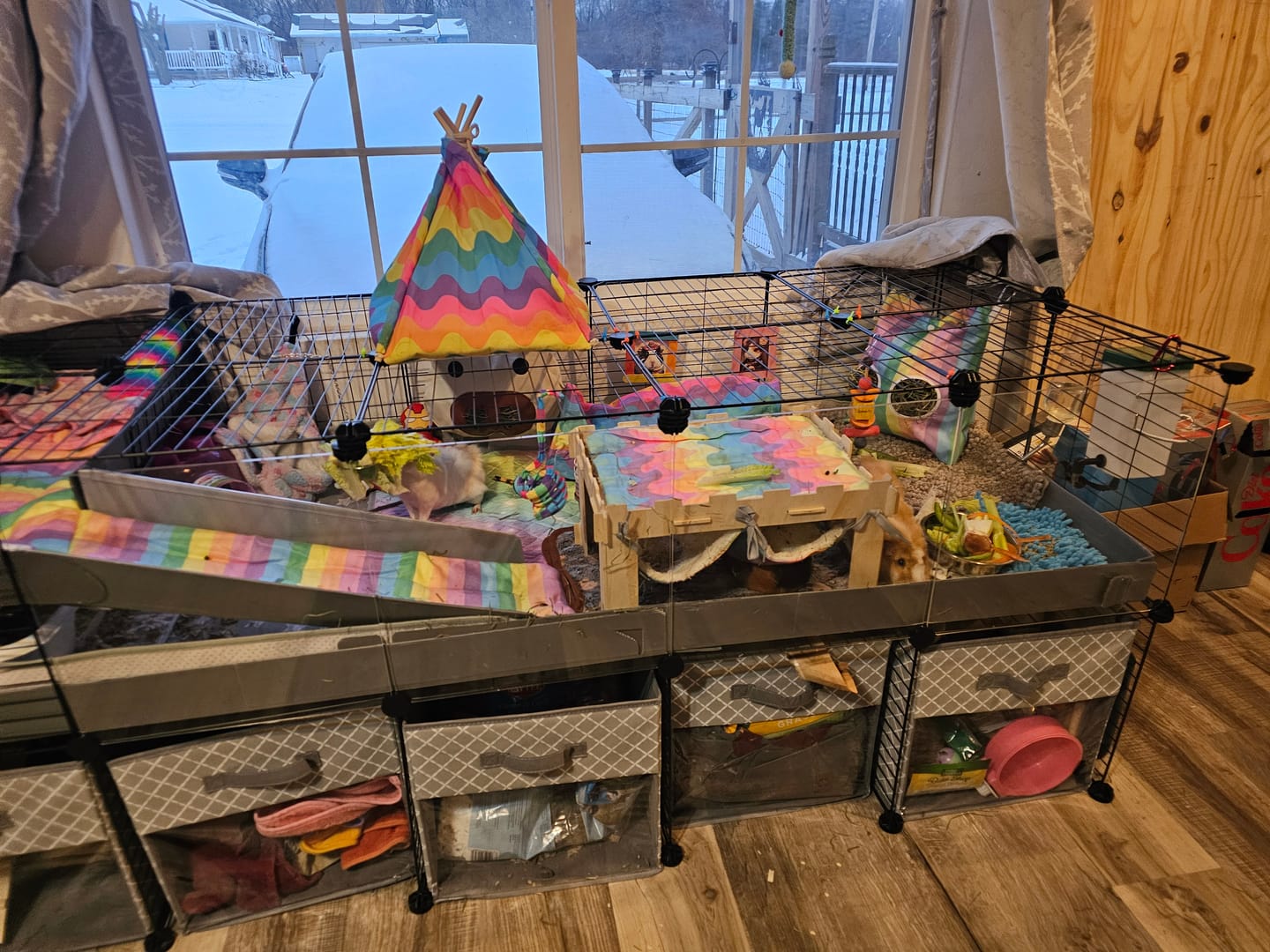 Customer photo review of Hay Bag | Radiant Rainbow