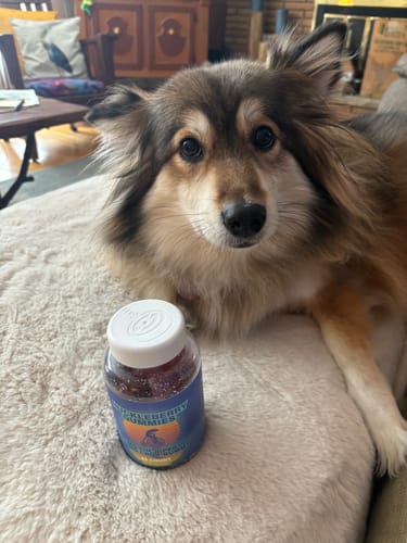 Customer photo review of Huckleberry Gummies, 5mg THC + 25mg CBD