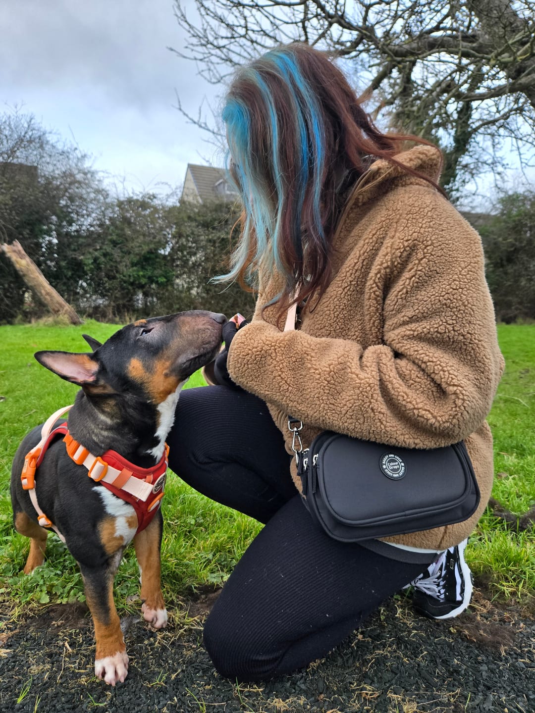 Customer photo review of Create Your Own Dog Walking Bag - Black